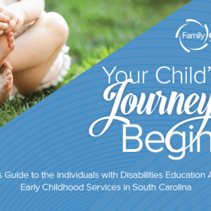 Your Child's Journey Begins book