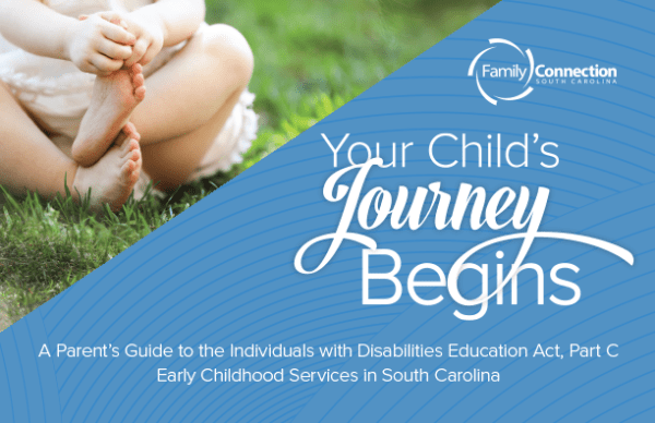 Your Child's Journey Begins book