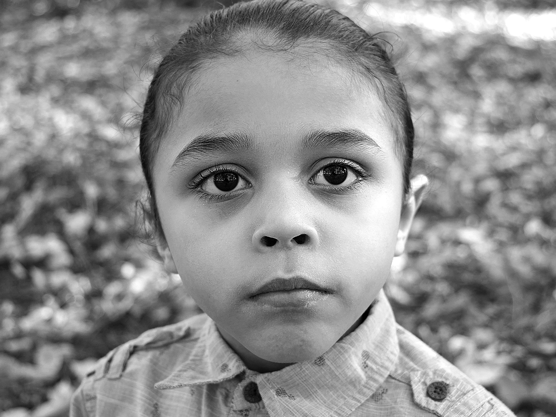 boy looks at the camera