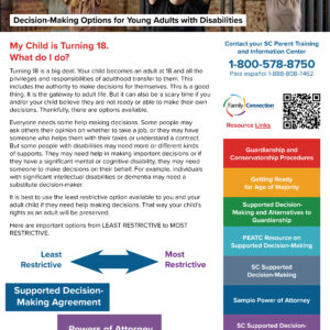 Decision making options flyer