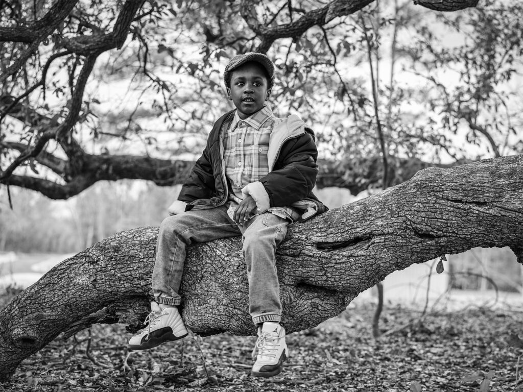 boy sitting in a tree